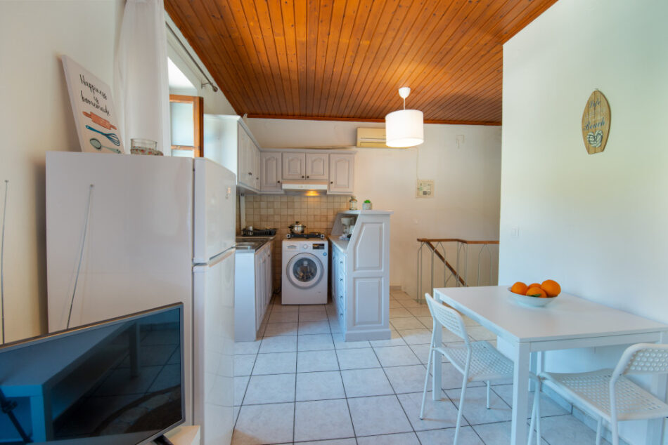 Dina Studio