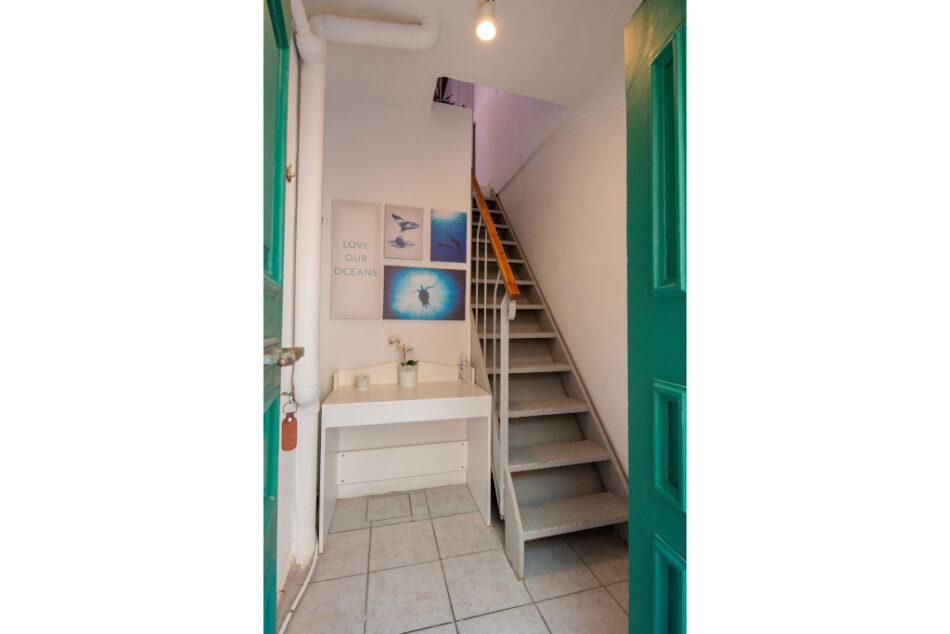 Dina Studio