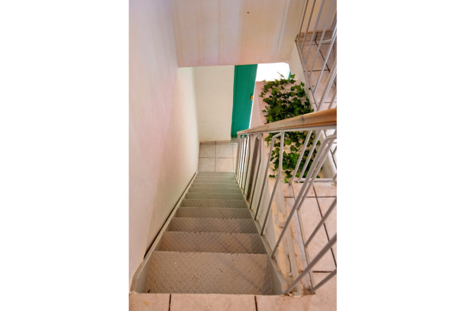 Dina Studio